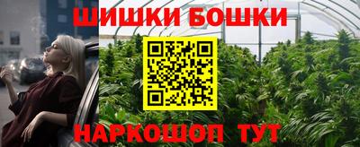 соль ск Славгород