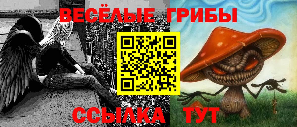 Галлюциногенные грибы прущие грибы  Галлюциногенные грибы MAGIC MUSHROOMS  Новый Уренгой  Вход с VPN 